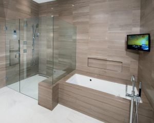 Master-shower-tub